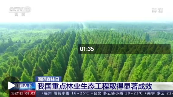 沙河林场虚拟村委会天气预报及影响解析