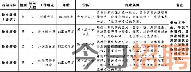 松原市企业调查队最新招聘启事